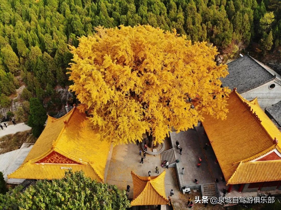 济南的自然风景推荐,济南自然风景好的地方