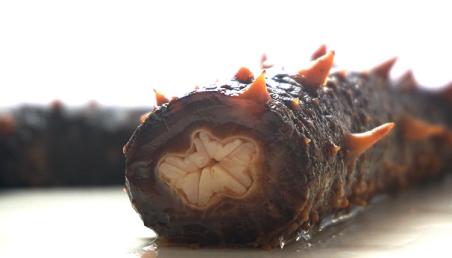 颜颐坊,加拿大海参哪种好