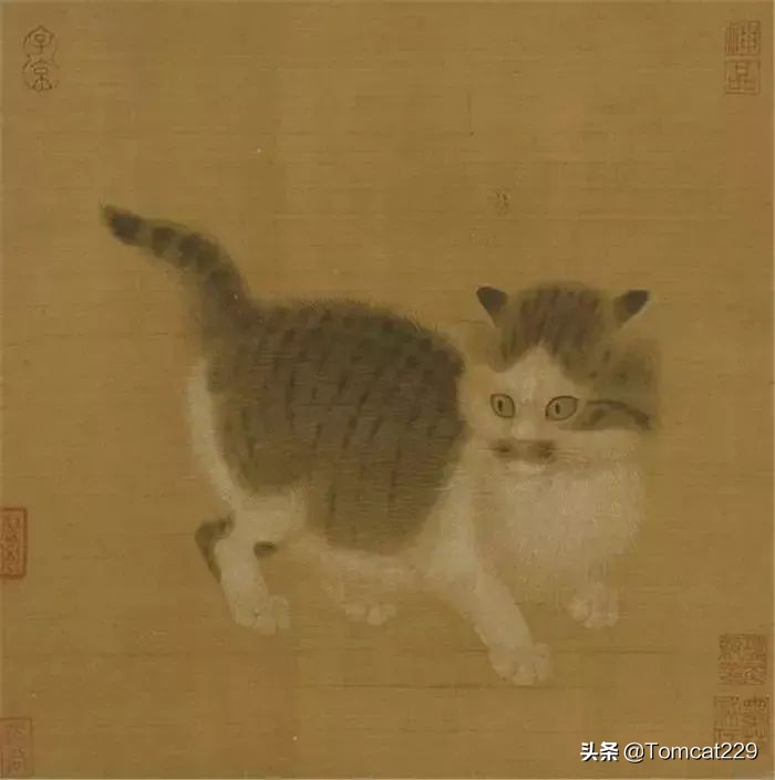 古代是如何给猫咪取名字的,古人给猫取名字
