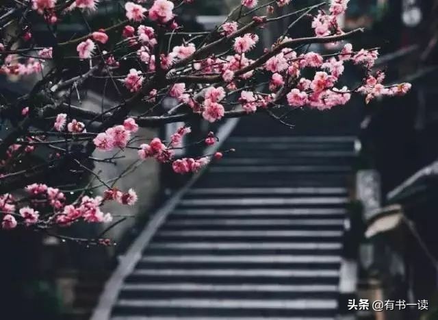 南怀瑾谈做人要认真,南怀瑾为人处世经典语录