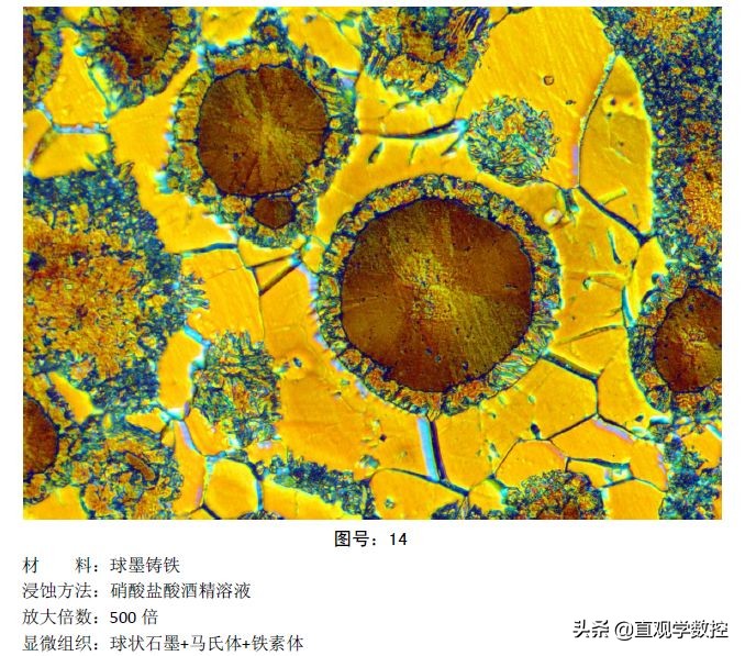 金相如何分辨奥氏体和铁素体,马氏体奥氏体金相
