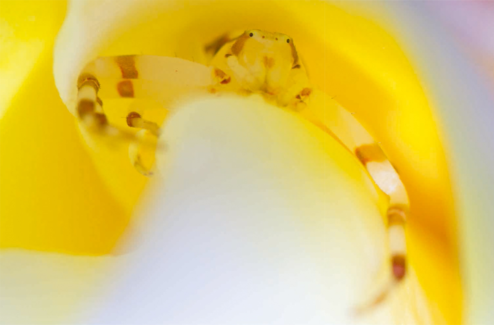 程斌摄影师,程斌摄影师作品