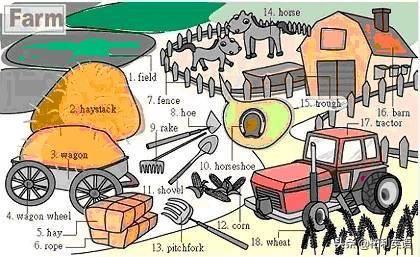 36张图记住英文生活用词,3-6岁儿童必背英语24个单词
