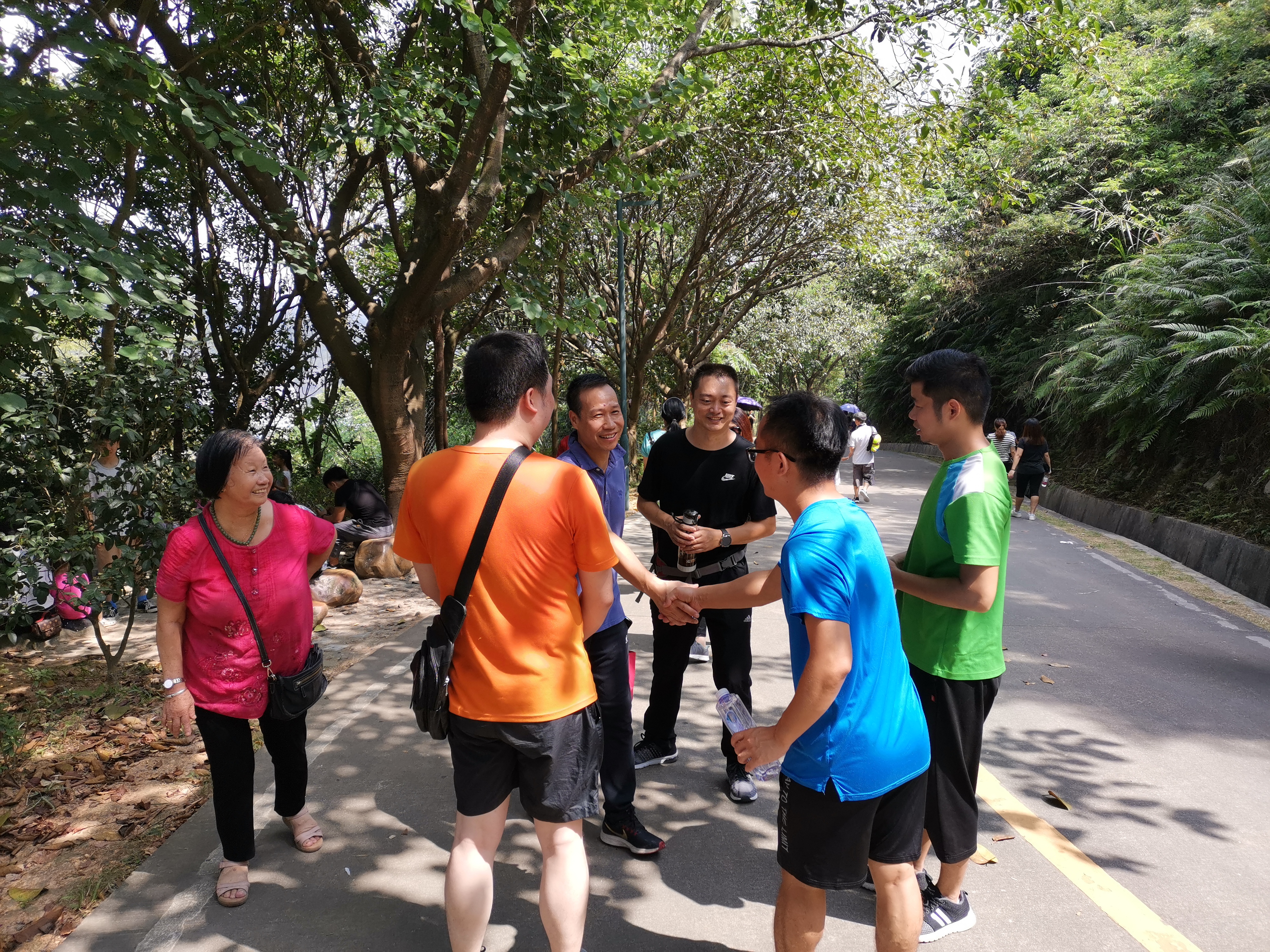 遗嘱继承制度,民法典规定遗嘱继承如何办理