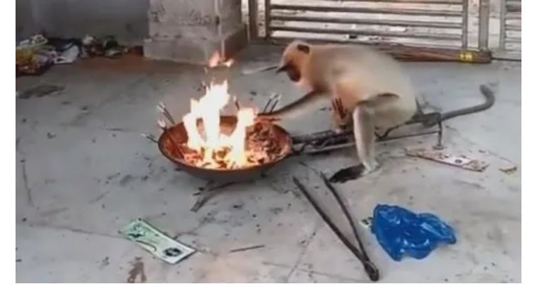 歇斯底里这个词怎么来的,歇斯底里这个成语的意思