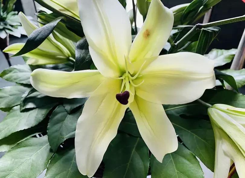 北京延庆必去的十大景点十渡,北京延庆周边五一旅游攻略自由行