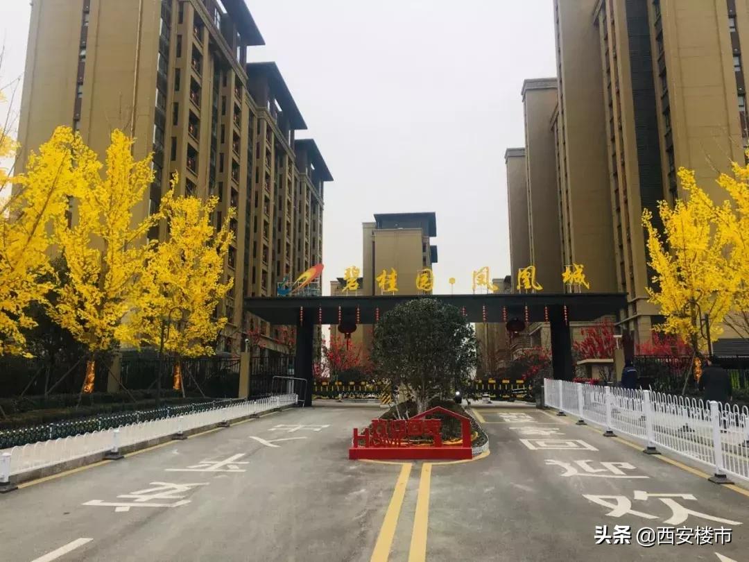 这家城北大盘,单盘年销过百亿,品质如何?