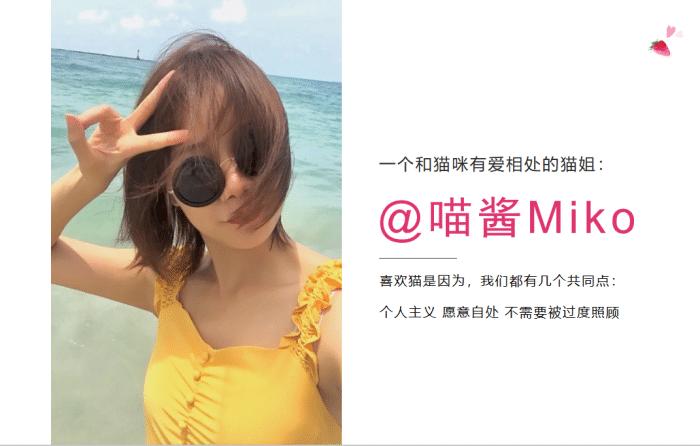 怎样喂养猫咪注意事项有哪些,怎样疼爱猫咪