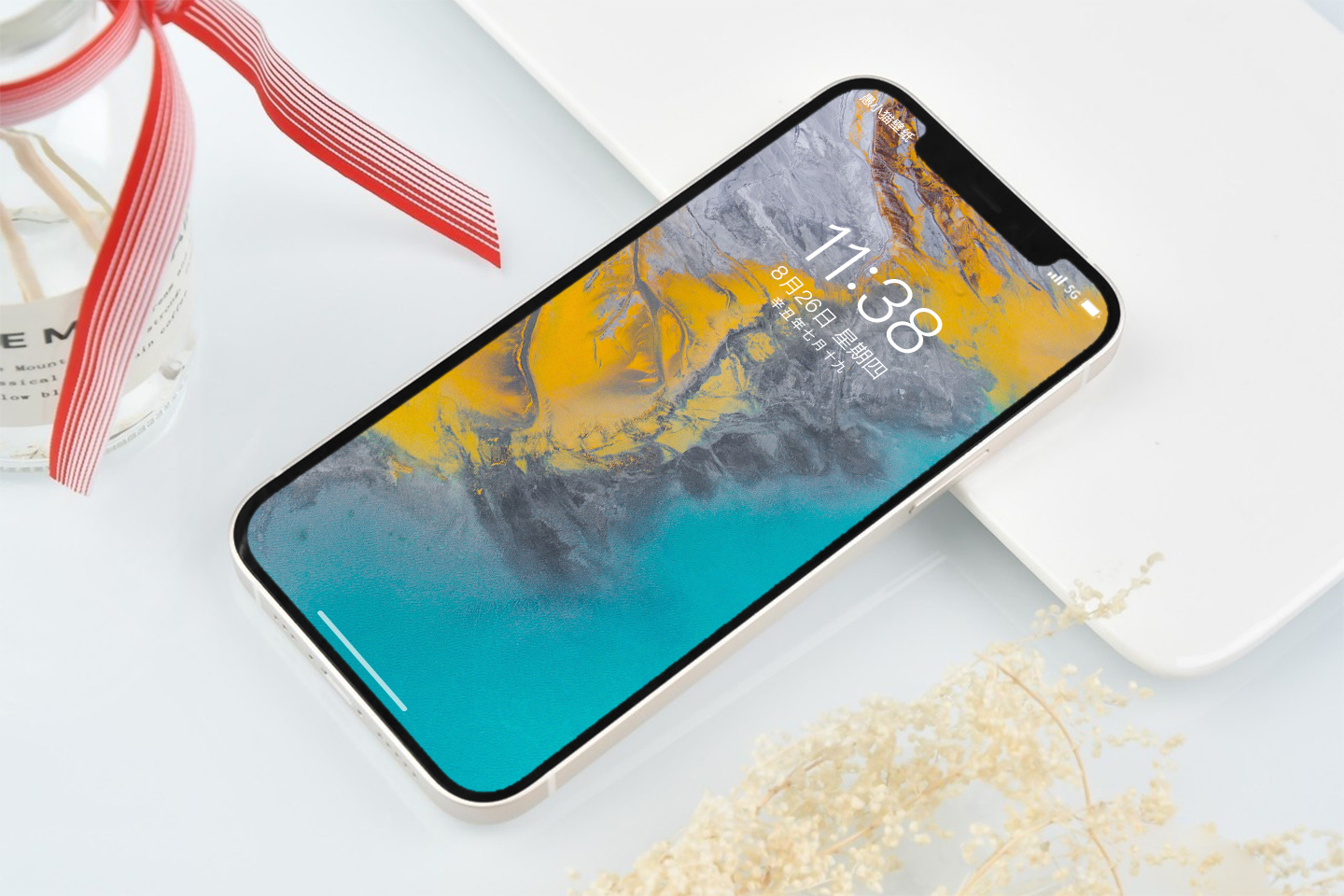 蓝天大海沙滩椰树图片高清壁纸,太阳蓝天大海海鸥的壁纸