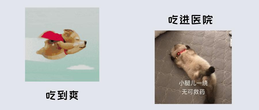 螃蟹怎么吃正确千万不要吃错了,螃蟹怎么吃对身体最好