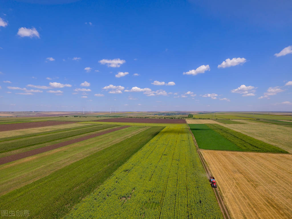 坟被占地咋补偿,关于农村坟墓平坟国家有关政策