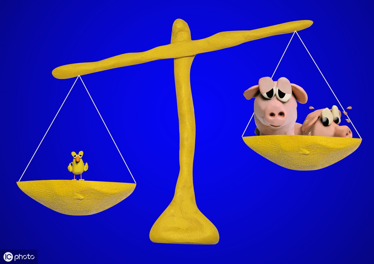 12星座网购的注意事项