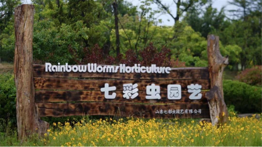 星空露营生态园,星空露营户外团建策划