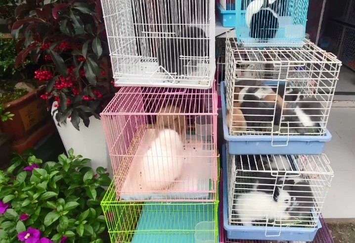 <html>
<head><title>502BadGateway</title></head>
<body>
<center><h1>502BadGateway</h1></center>
<hr><center>nginx</center>
</body>
</html>
<!--apaddingtodisableMSIEandChromefriendlyerrorpage-->
<!--apaddingtodisableMSIEandChromefriendlyerrorpage-->
<!--apaddingtodisableMSIEandChromefriendlyerrorpage-->
<!--apaddingtodisableMSIEandChromefriendlyerrorpage-->
<!--apaddingtodisableMSIEandChromefriendlyerrorpage-->
<!--apaddingtodisableMSIEandChromefriendlyerrorpage-->
