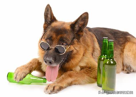 西方国家古代没有中药怎么治病,古代人生病都吃什么药