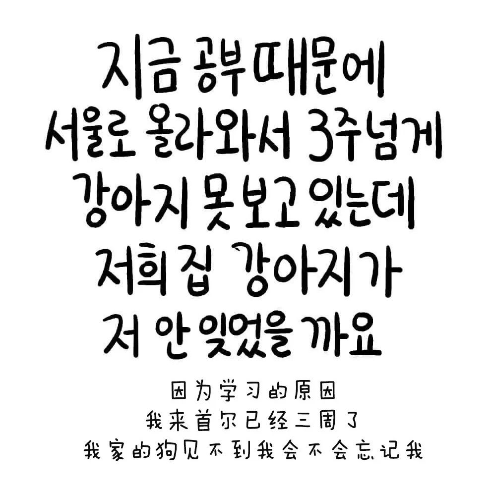 一张画看哭很多人,这张画又戳中了网友泪点