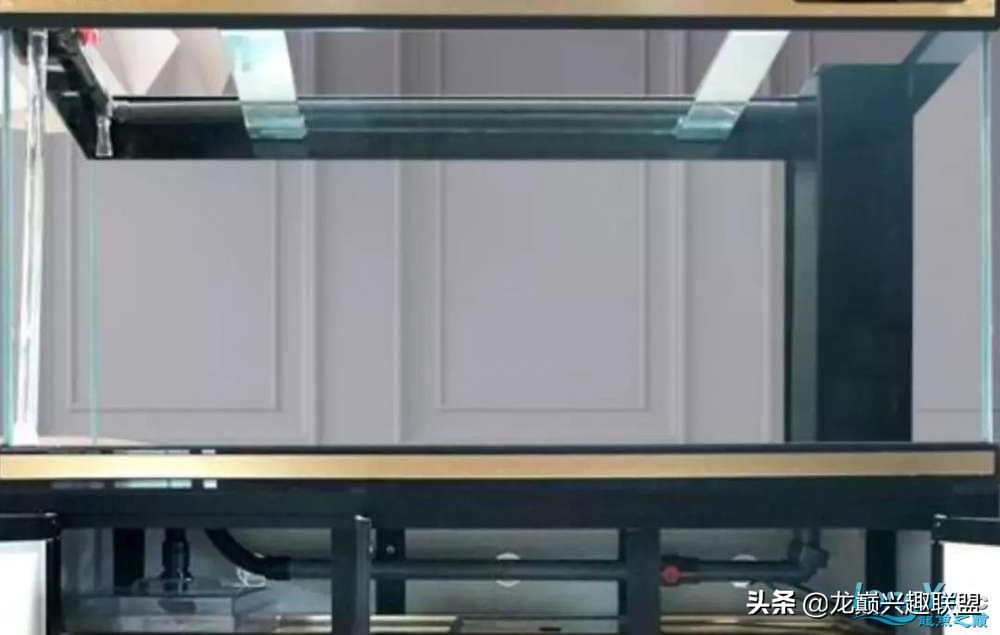 草缸需要买一体化鱼缸吗,为什么没有一体成型的鱼缸