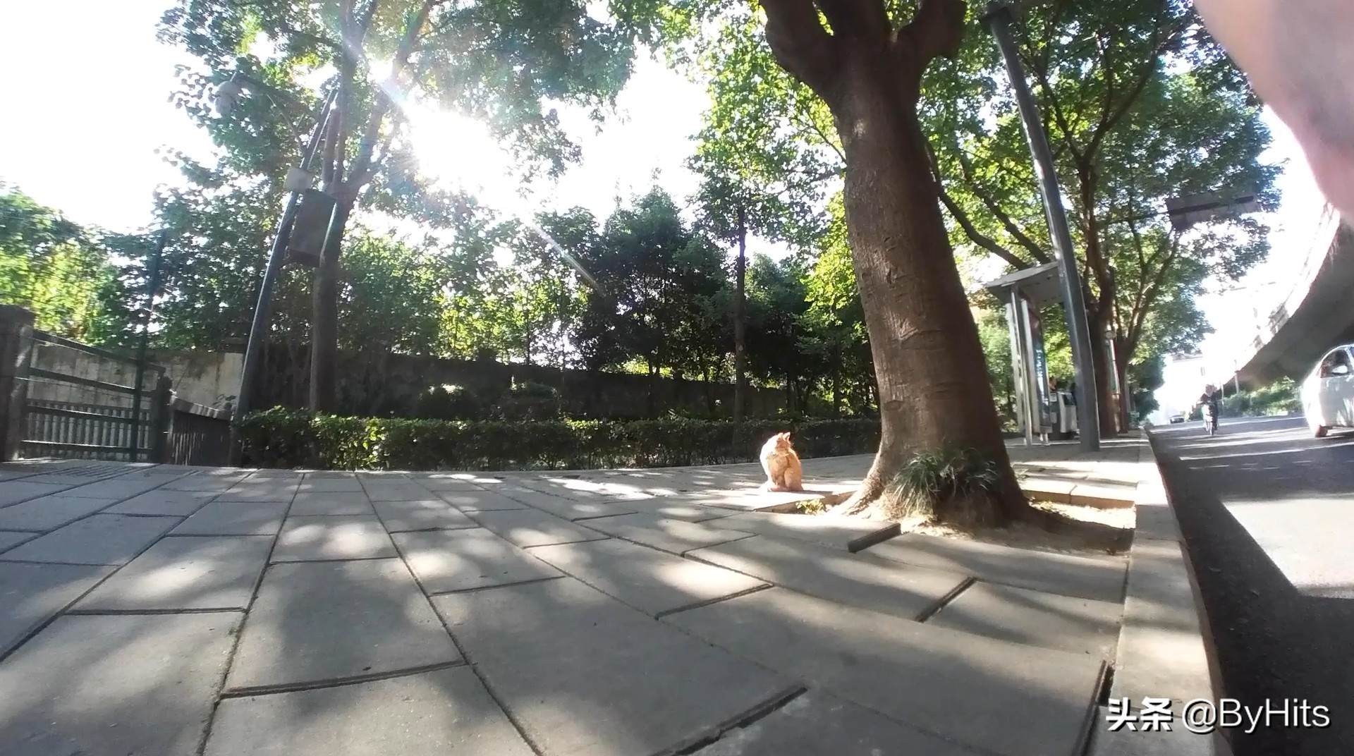 insta360go可以变焦吗,insta360onex2全景运动相机