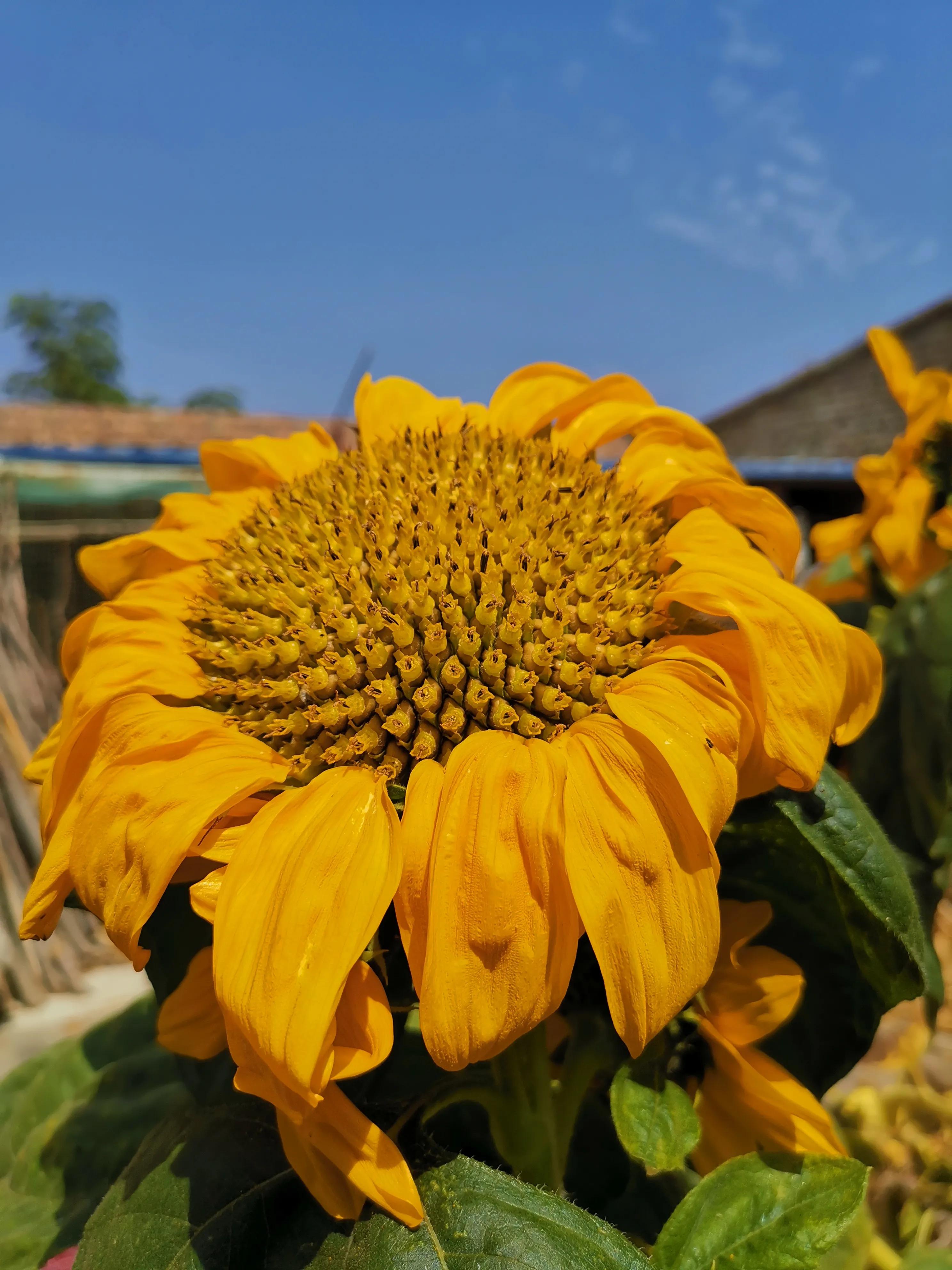 记忆模糊的三年,记忆回到三年前