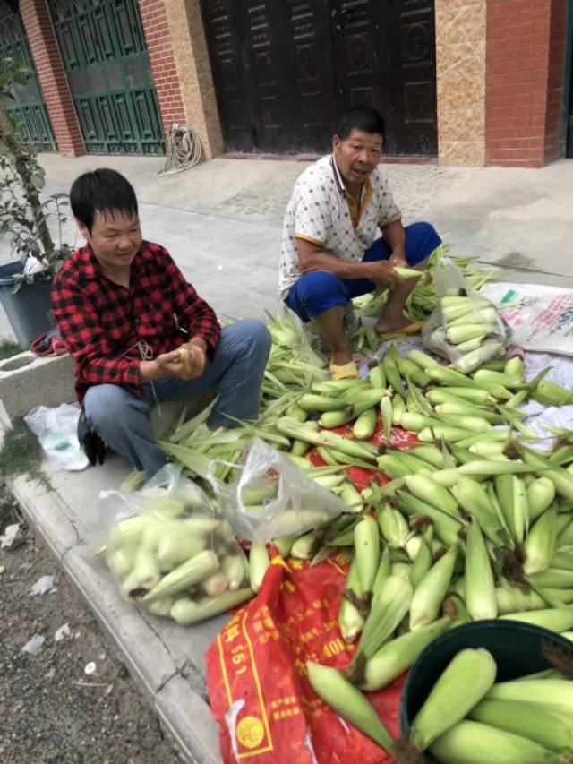 广西农特产品网网友是怎样分析米豆果蔬优质好吃原因的