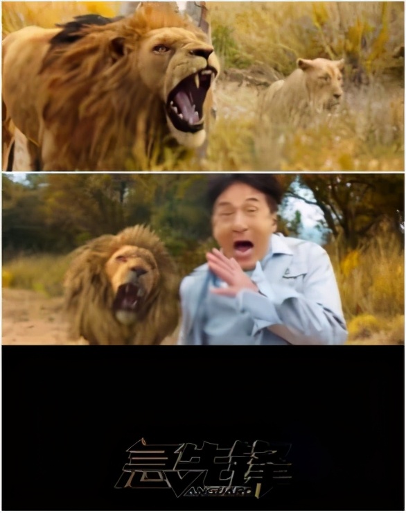 去非洲草原，要怎么做，才能不被狮子吃掉？