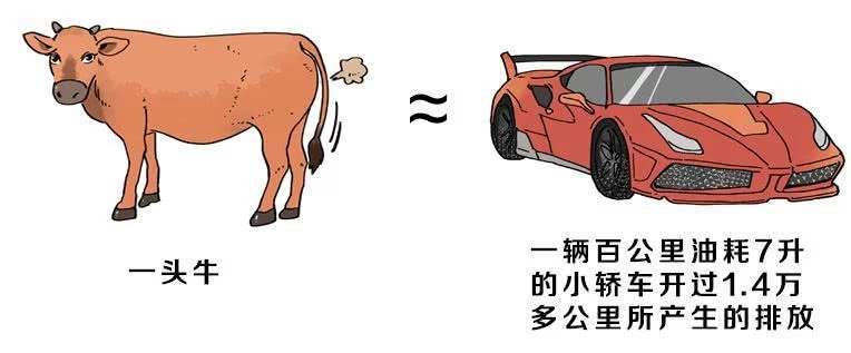 南极变暖意味着什么,南极变绿带来的影响