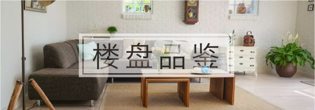 沈阳新市府学区,沈阳新市府学区规划图