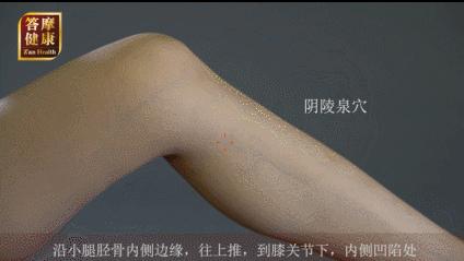 老中医祛湿健脾茶饮方,春季健脾润肺祛湿汤