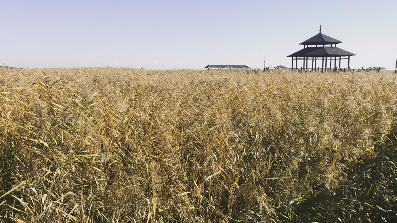 辽宁省盘锦市有哪几个区,辽宁省盘锦市所辖区有哪些