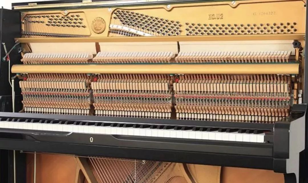 一般人不知道的冷知识笑哭,从零开始学钢琴的十大秘诀