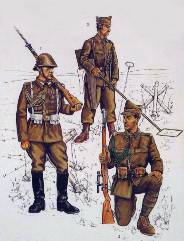 二战德军军服图鉴,二战罗马尼亚步兵师的装备