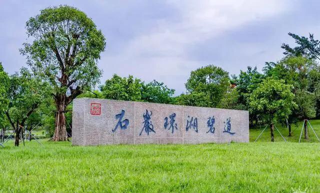 深圳十佳免费湿地公园,深圳十大免费公园排行榜最新名单