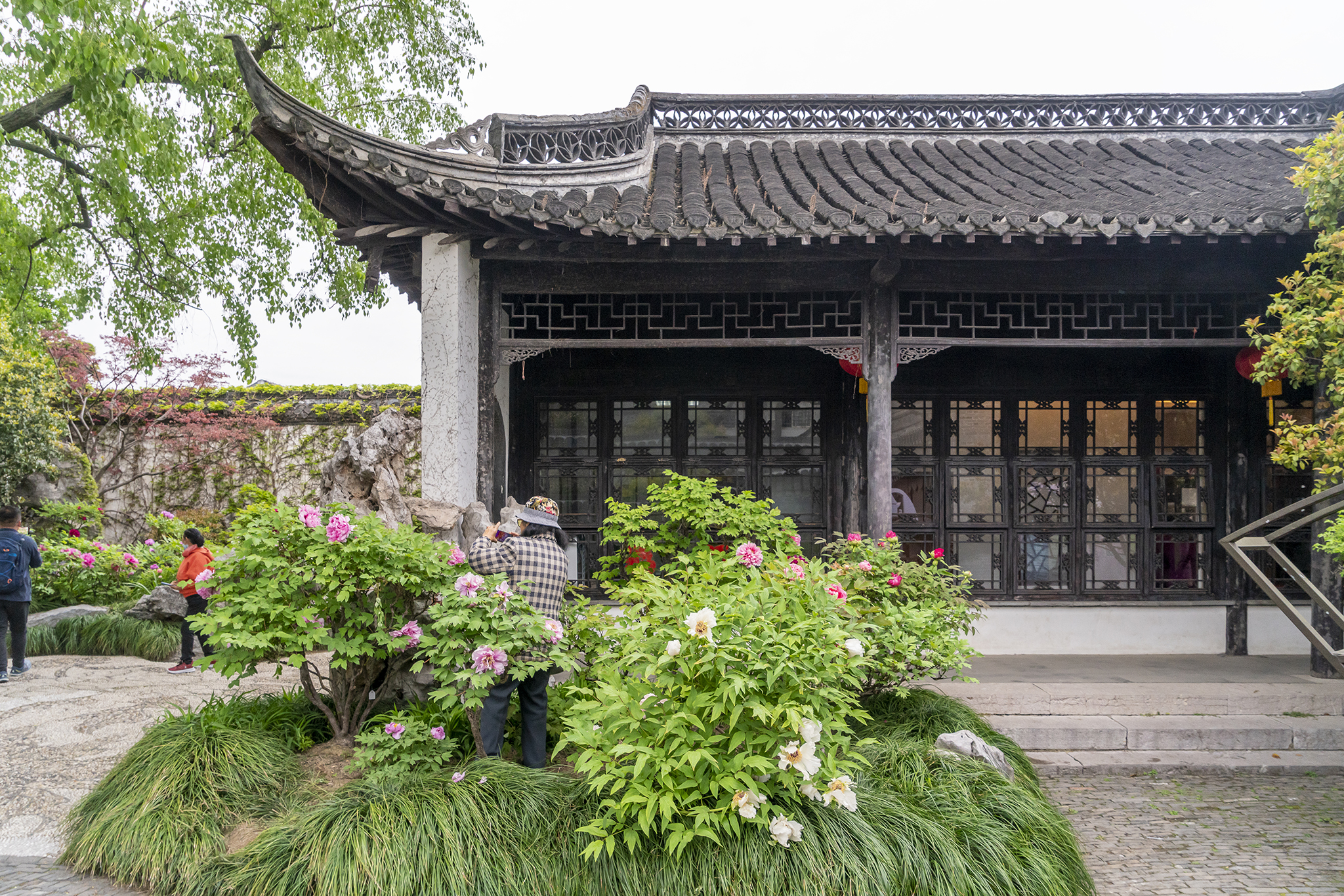 春风万里桃李满园,春风万里行书