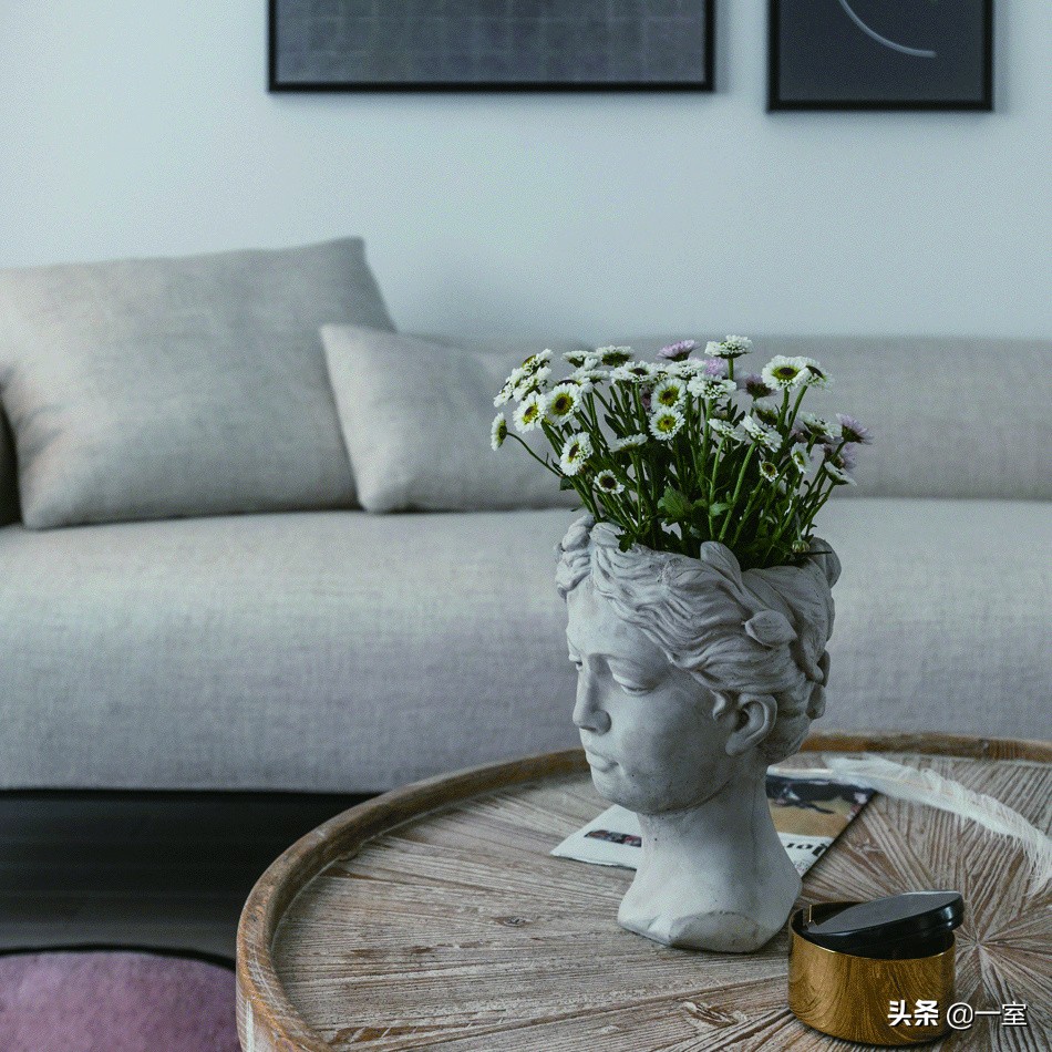 网红庭院植物搭配,网红绿植搭配技巧