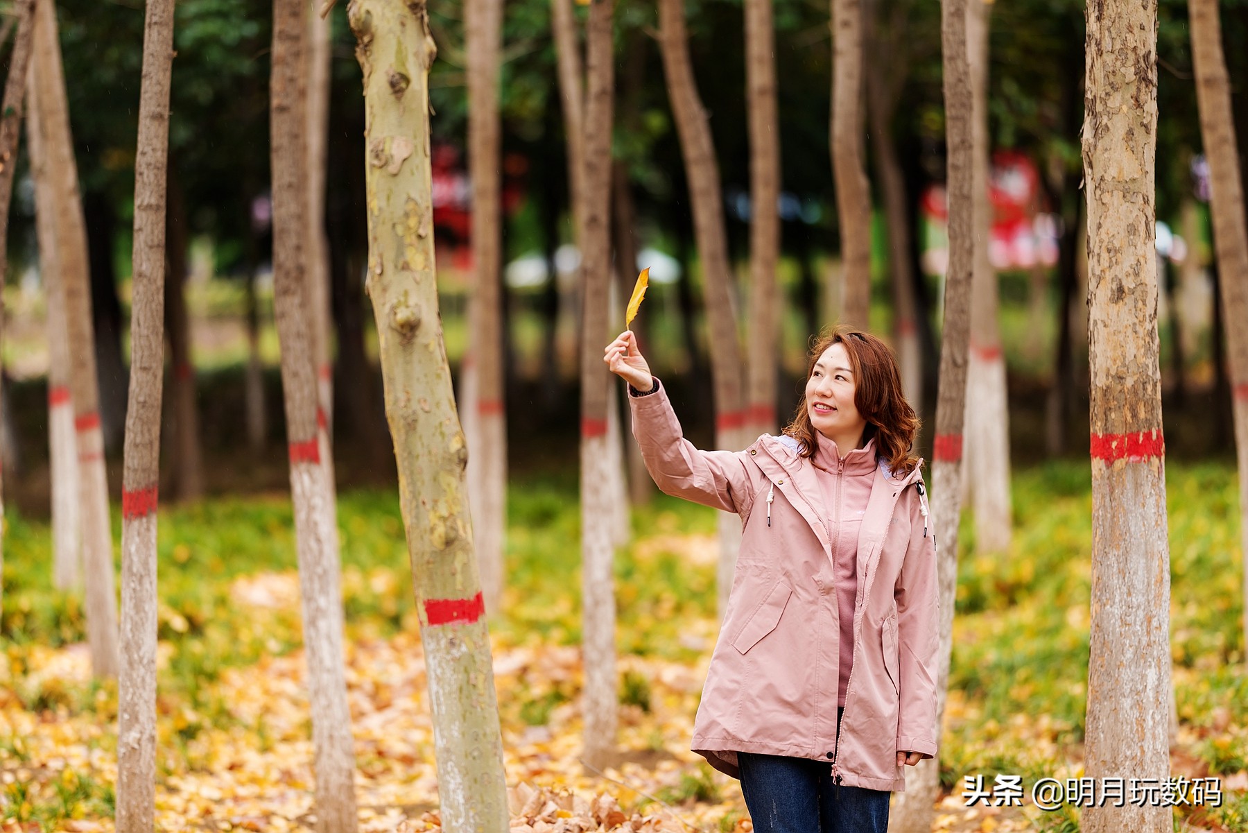 什么冲锋衣时尚好看,冲锋衣高级感秋冬时尚