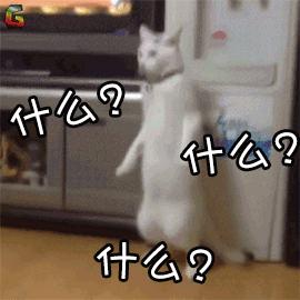 伪劣钓竿,揭露钓竿宣传的三大骗局