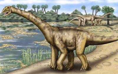 恐龙为什么体型那么巨大,恐龙那么大怎么生存