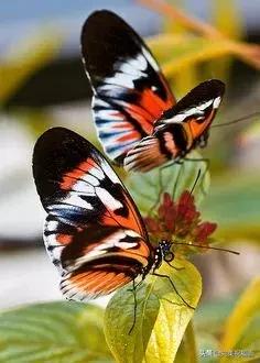 今天2.1，2月第1天，谁编的，太好笑了，给群里乐一乐~