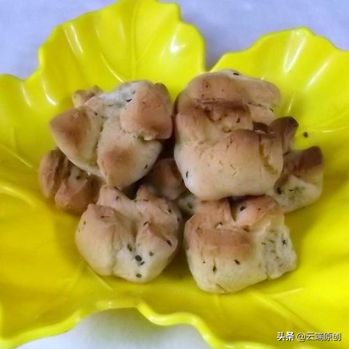 羊脚蹄盆景,羊脚蹄批发直播