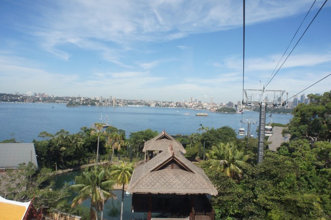 澳洲悉尼动物园,悉尼塔隆加动物园介绍