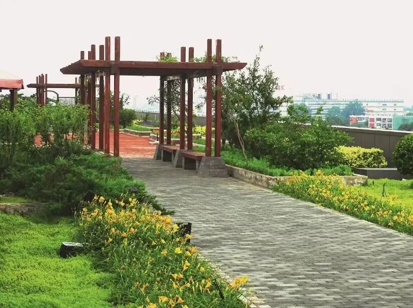 从楼顶看地面,从屋顶看故宫