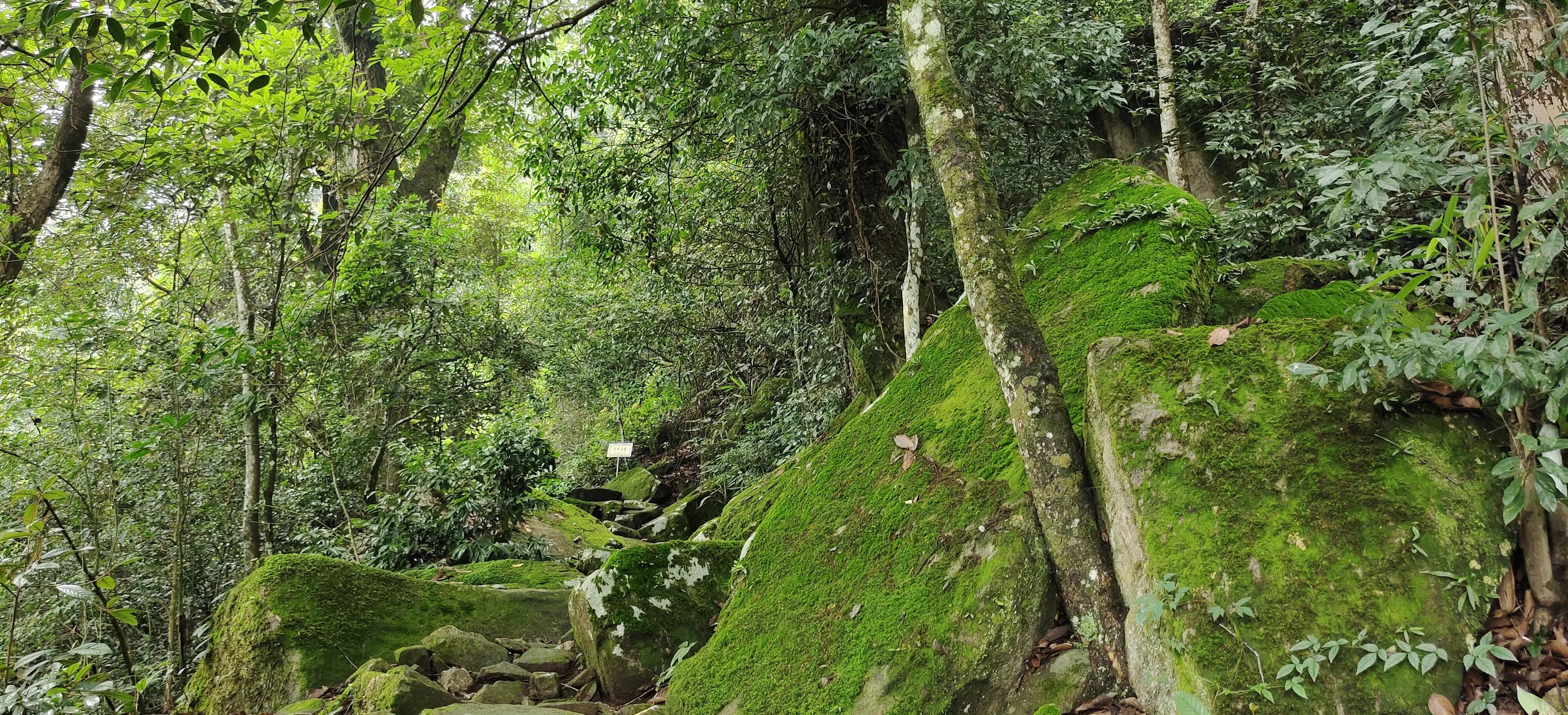 登上绝壁悬崖感受一览众山小,登上泰山之巅的感觉