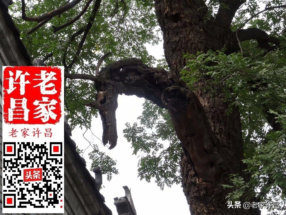 一个人行走在神秘的古建筑里,一个人行走在神秘的古建筑