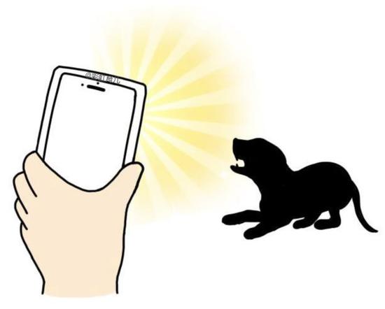 男童被大型犬抓伤,男童遭大型犬咬伤在icu抢救