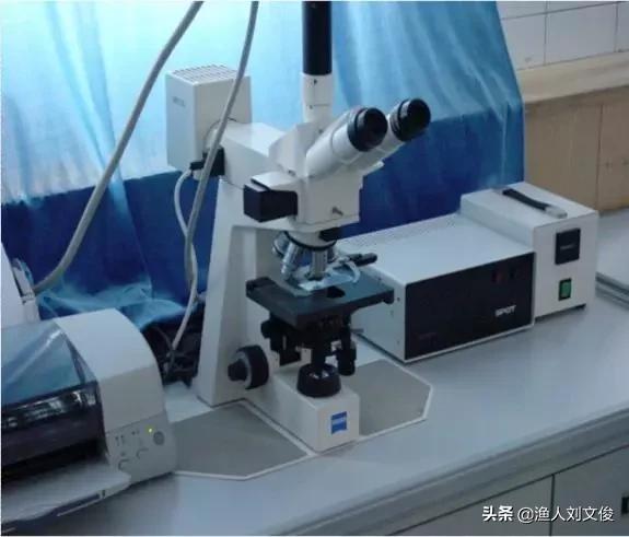 纳米银水产副作用,纳米银在水产上用刺激大吗