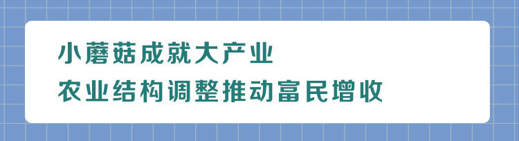 灌南县的未来发展之路,从产业地到产业高地的转变