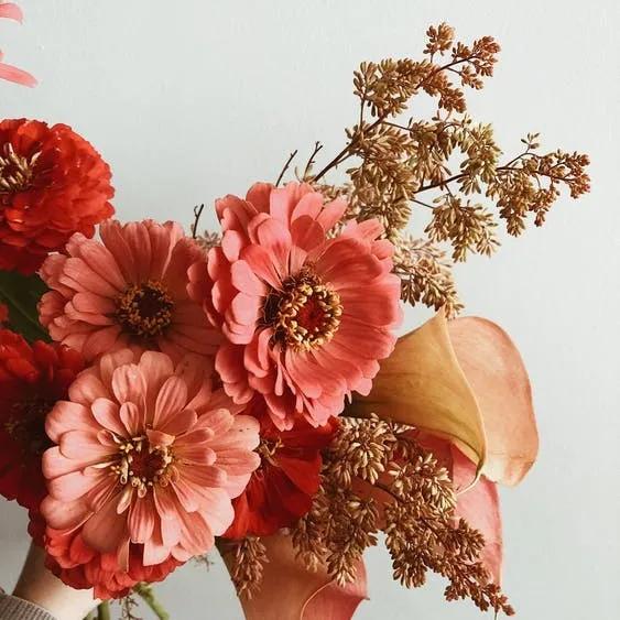 妆容教程直睫毛,日常妆种睫毛