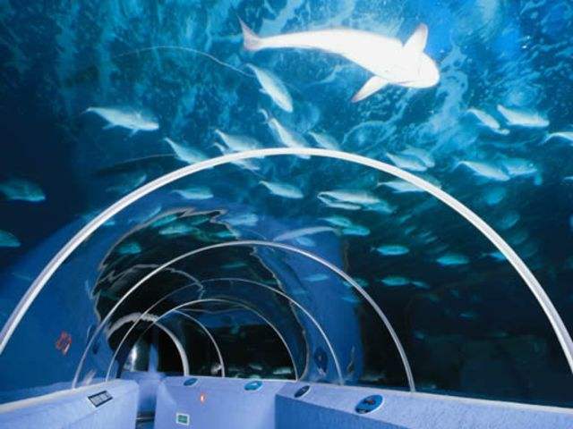 青岛沿海旅游景点,青岛精华步骤