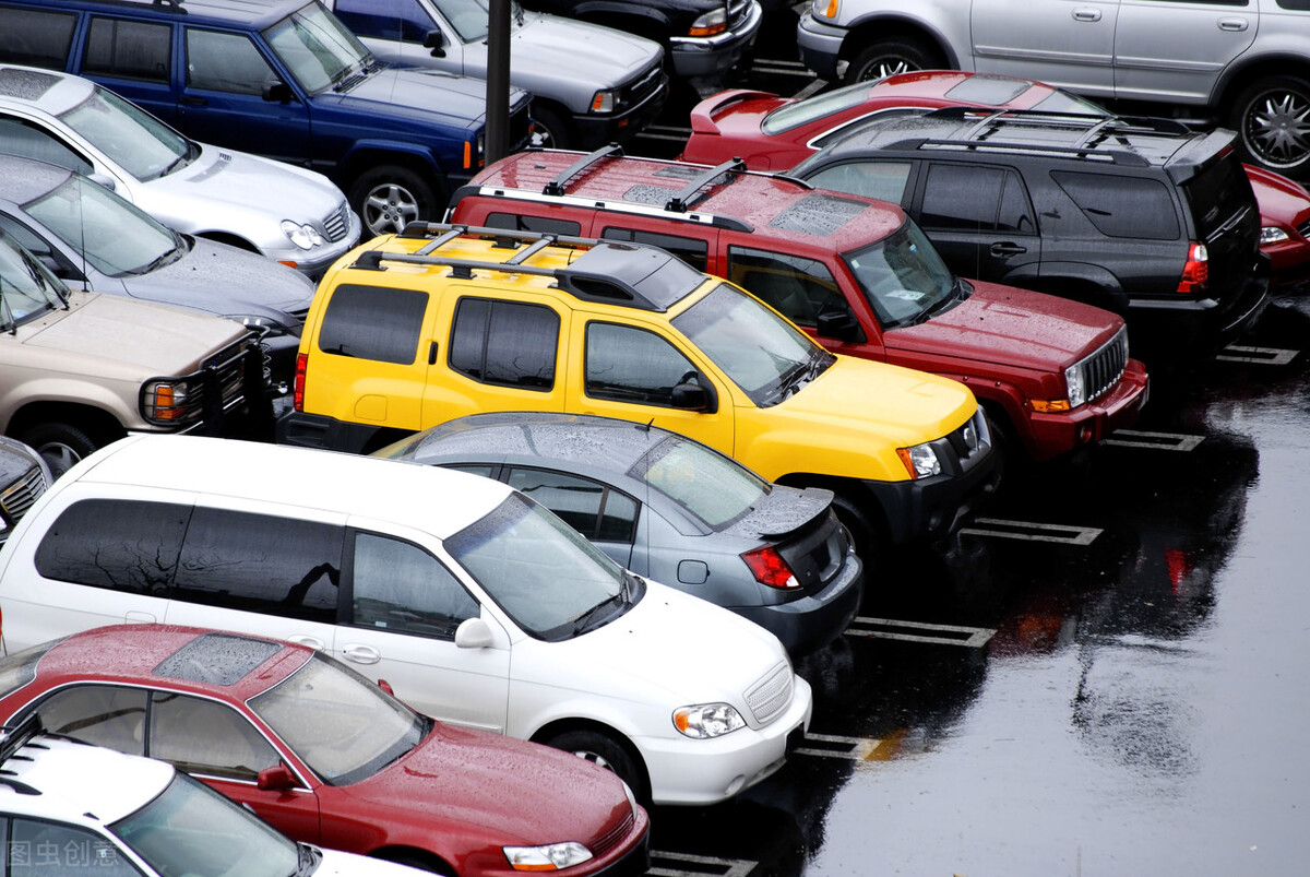 怎样种植无花果不生虫,怎样种植无花果盆景