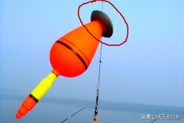 多钩悬钓草鱼的正确方法,串钩浅水钓草鱼最快的钓法